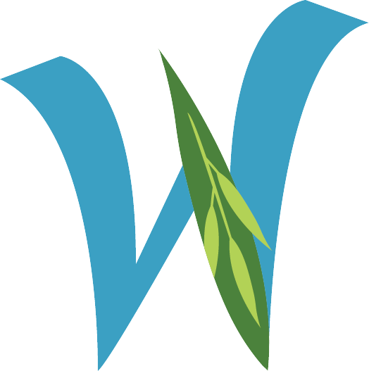 11393089_1110186572330341_8387910550959494281_n