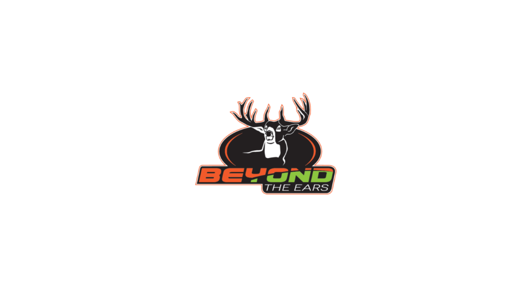 Beyond the Ears