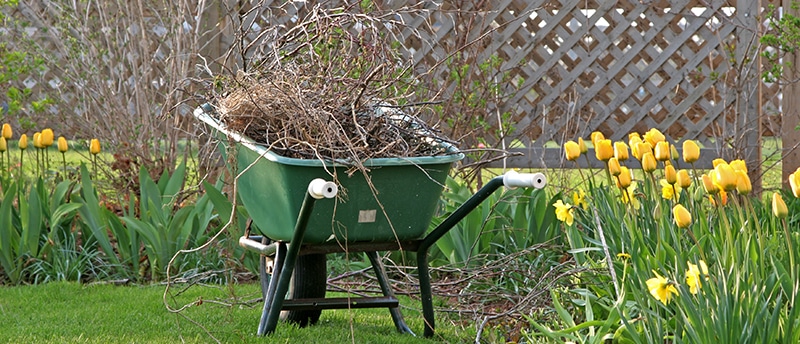 Spring Time Clean Up Spring Clean Up - Oxford DDA